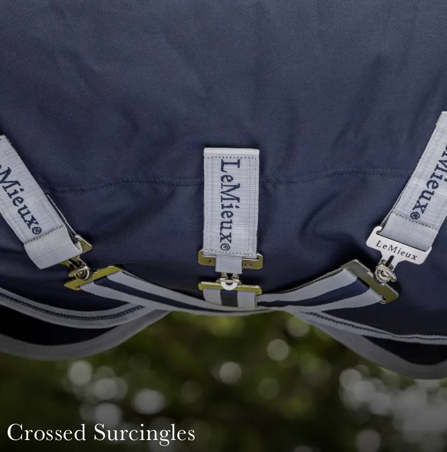 LeMieux Arika Storm-Tek Rug 100g